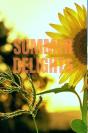 Summer Delights - Preview