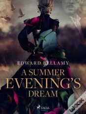 Capa do artigo Summer Evening