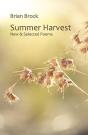 Summer Harvest - Preview