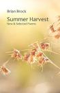 Summer Harvest - Preview