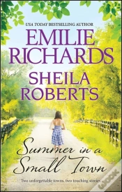 Capa do artigo Summer In A Small Town