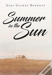 Capa do artigo Summer In The Sun