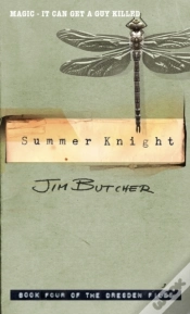 Capa do artigo Summer Knight
