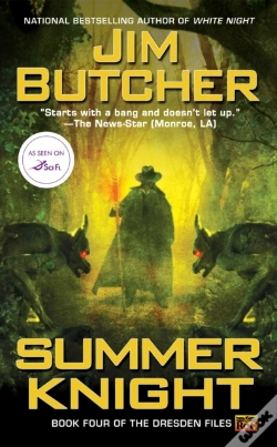 Capa do artigo Summer Knight