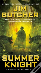 Capa do artigo Summer Knight