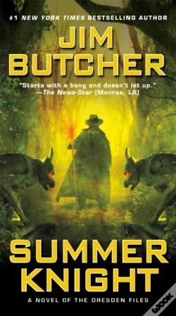 Capa do artigo Summer Knight