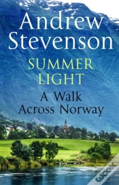 Capa do artigo Summer Light