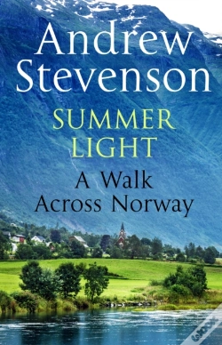 Capa do artigo Summer Light