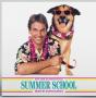 Summer School - Vinil - Preview