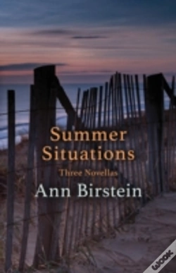 Capa do artigo Summer Situations