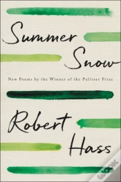 Capa do artigo Summer Snow