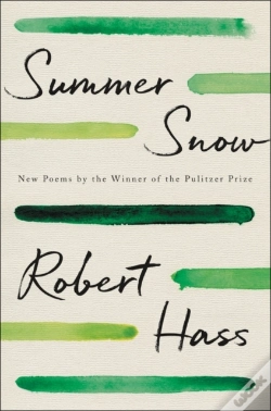 Capa do artigo Summer Snow