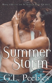Capa do artigo Summer Storm