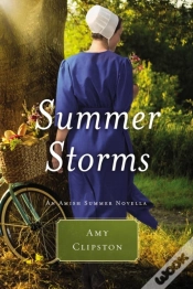 Capa do artigo Summer Storms