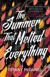 Capa do artigo Summer That Melted Everything