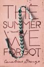 Summer We Forgot - Preview