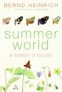Summer World - Preview