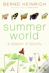 Capa do artigo Summer World