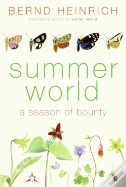 Capa do artigo Summer World