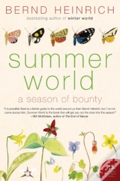 Capa do artigo Summer World
