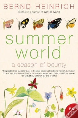 Capa do artigo Summer World
