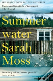 Capa do artigo Summerwater