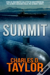 Capa do artigo Summit