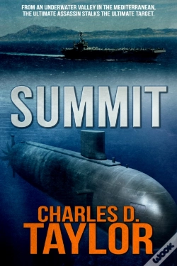 Capa do artigo Summit