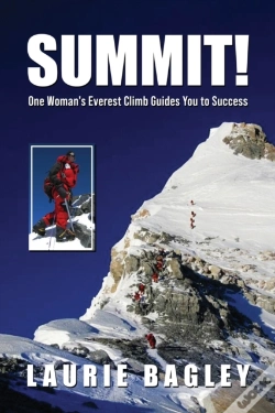 Capa do artigo Summit!