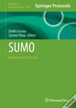 Capa do artigo Sumo