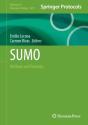 Sumo - Preview