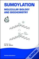 Sumoylation