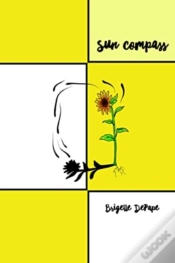 Capa do artigo Sun Compass