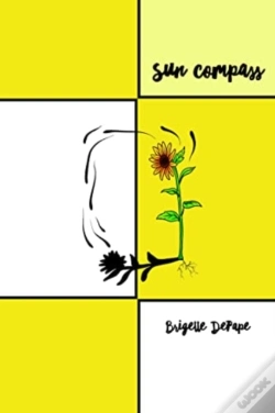 Capa do artigo Sun Compass