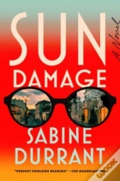 Capa do artigo Sun Damage