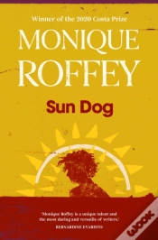 Capa do artigo Sun Dog