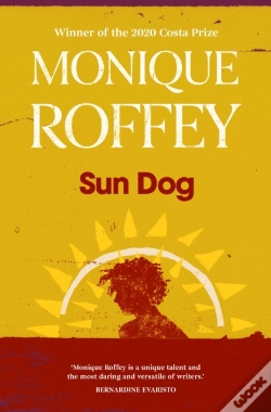 Capa do artigo Sun Dog