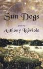 Sun Dogs - Preview