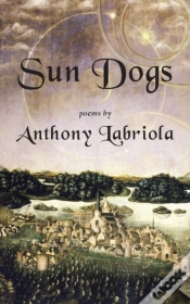 Capa do artigo Sun Dogs