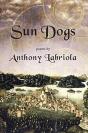 Sun Dogs - Preview