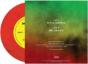 Sun Is Shining - Vinil - Preview