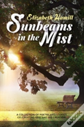 Sunbeams In The Mist