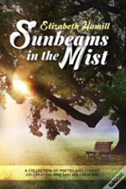 Capa do artigo Sunbeams In The Mist