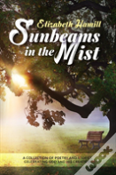 Sunbeams In The Mist