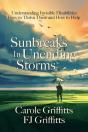 Sunbreaks In Unending Storms: Understand - Preview