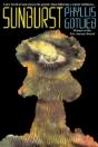 Sunburst - Preview