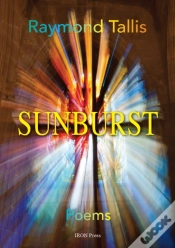 Capa do artigo Sunburst