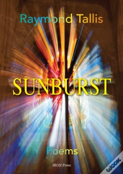Capa do artigo Sunburst
