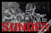 Capa do artigo Sunder