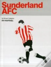 Capa do artigo Sunderland Afc